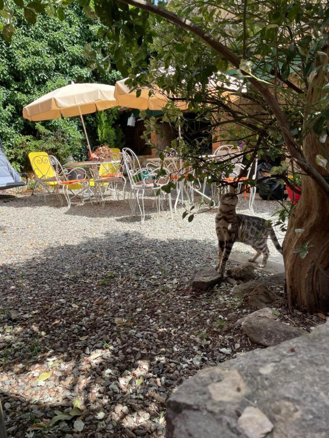 Auberge De Cucugnan Perpignan Exteriér fotografie